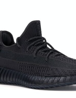 adidas-Yeezy-Boost-350-V2-Black-Non-Reflective_1634928824_5.jpg